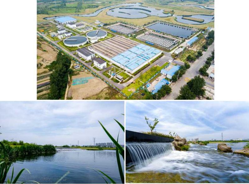 滁州湿地_副本