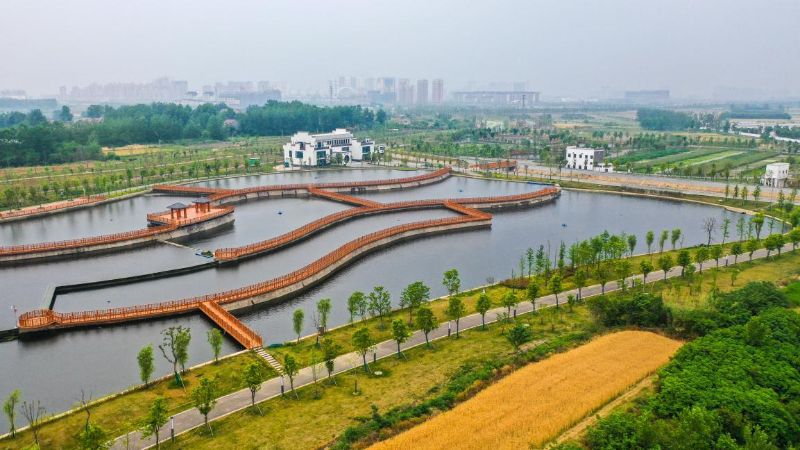 来安水环境综合治理项目尾水湿地